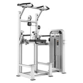 CE 5009 Dip | Chin Assist